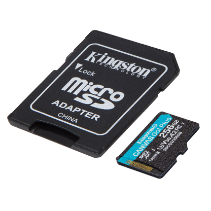 Kingston Canvas GO Plus Micro SDXC Card, Class 10 UHS-I 256Gb